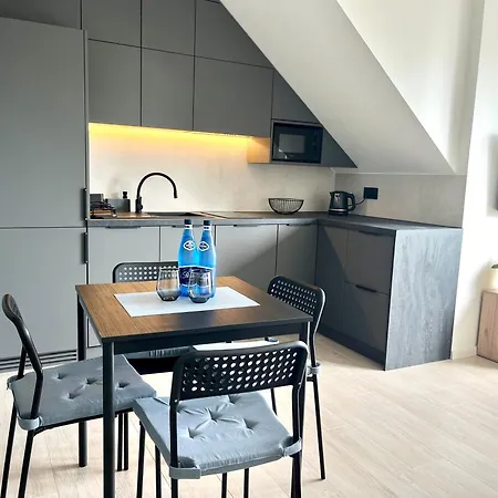 Agapella Apartamenty- Apartament Plaza 47- 20 M From The